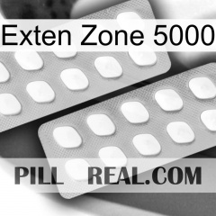 Exten Zone 5000 27